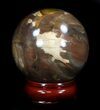 Colorful Petrified Wood Sphere #36973-1